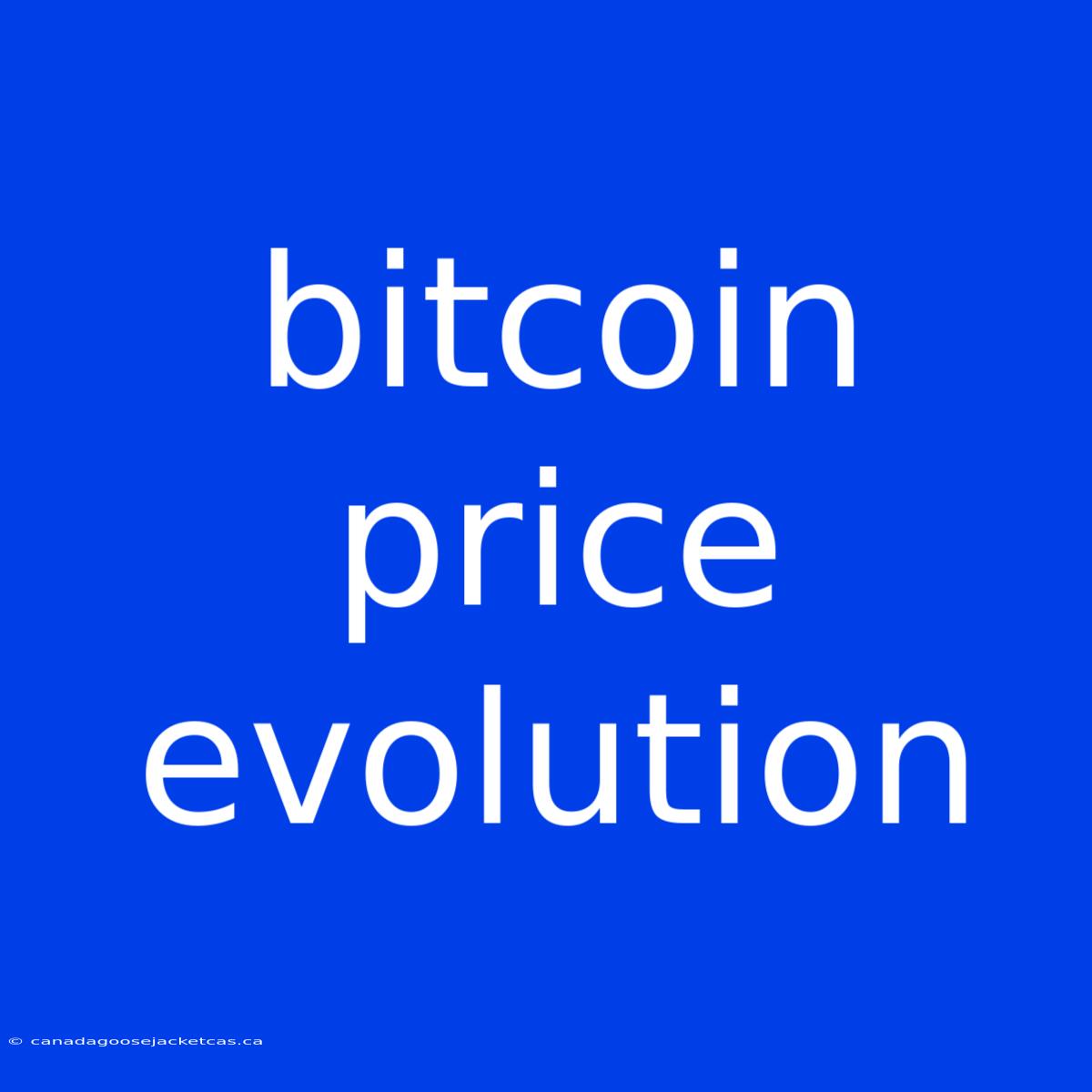 Bitcoin Price Evolution