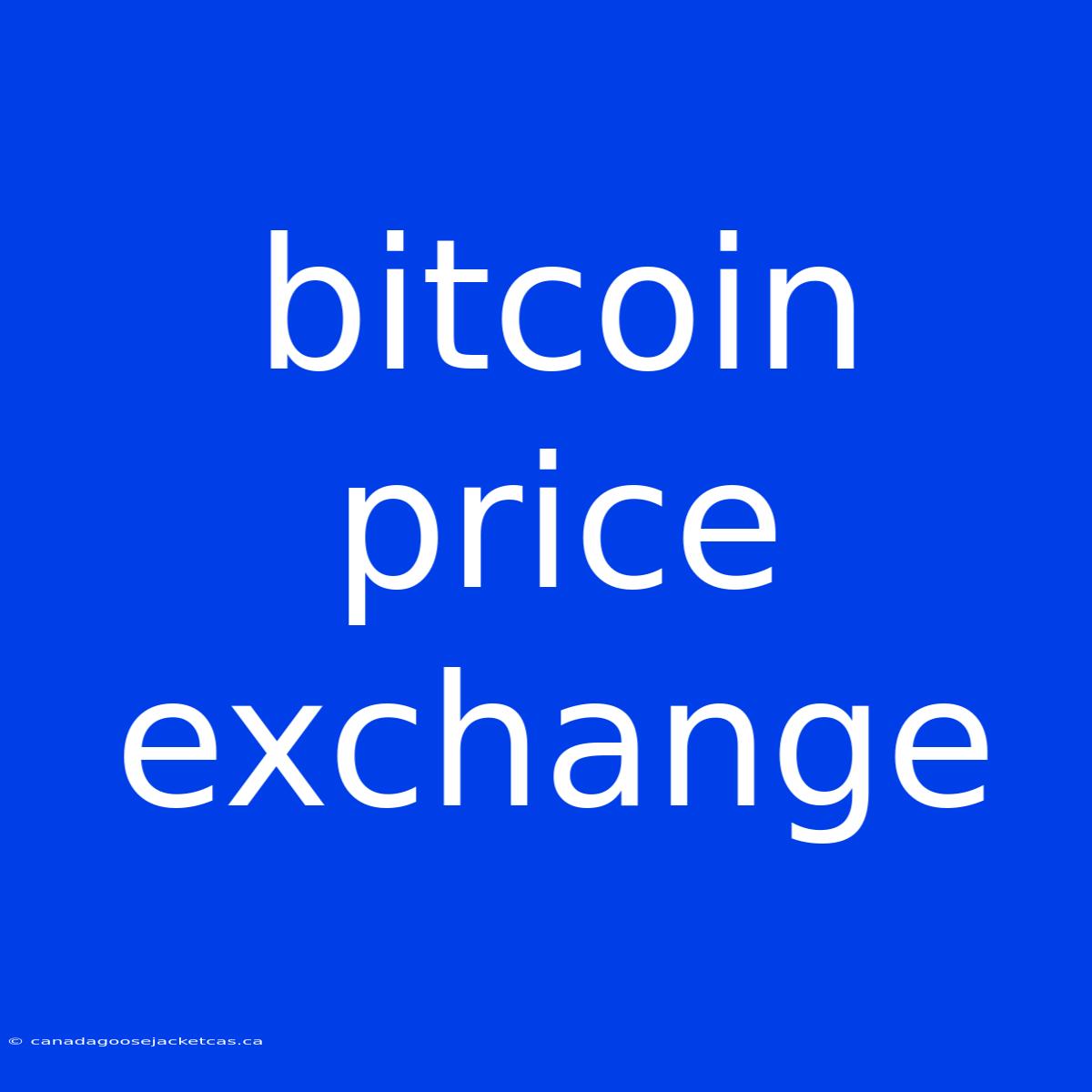 Bitcoin Price Exchange