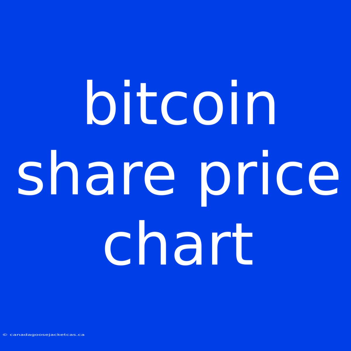 Bitcoin Share Price Chart