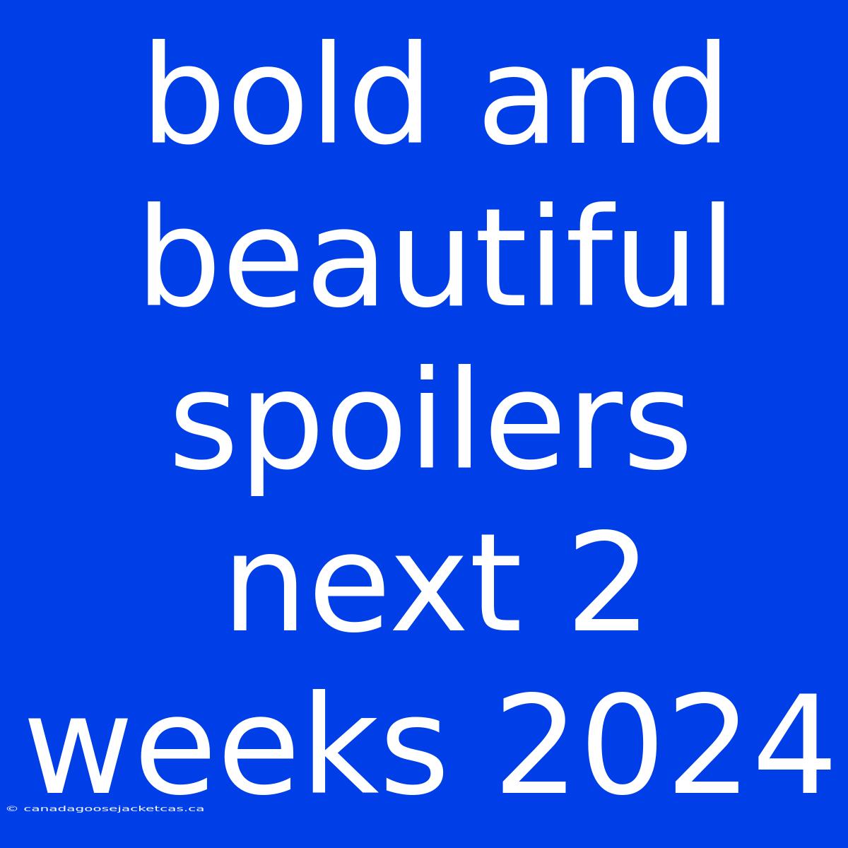 Bold And Beautiful Spoilers Next 2 Weeks 2024