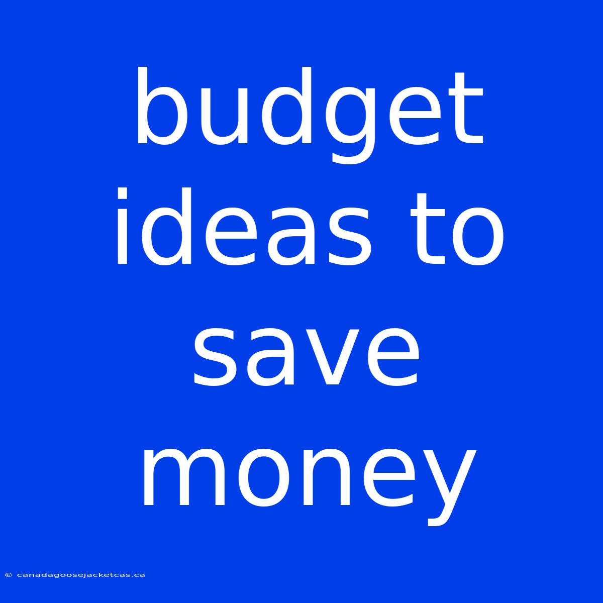 Budget Ideas To Save Money