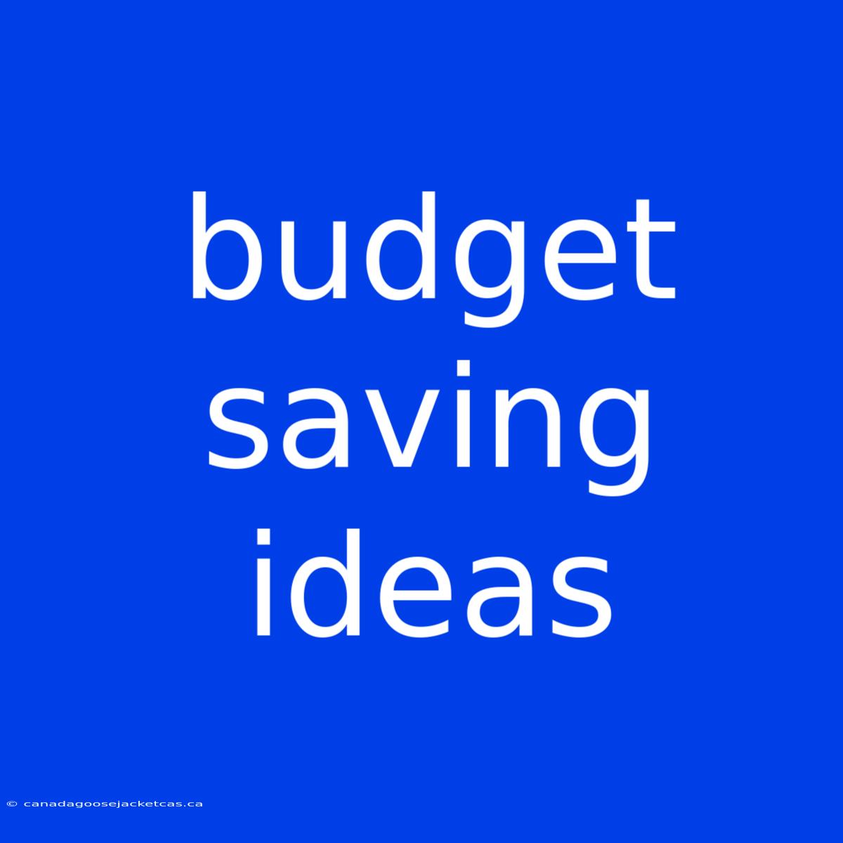 Budget Saving Ideas