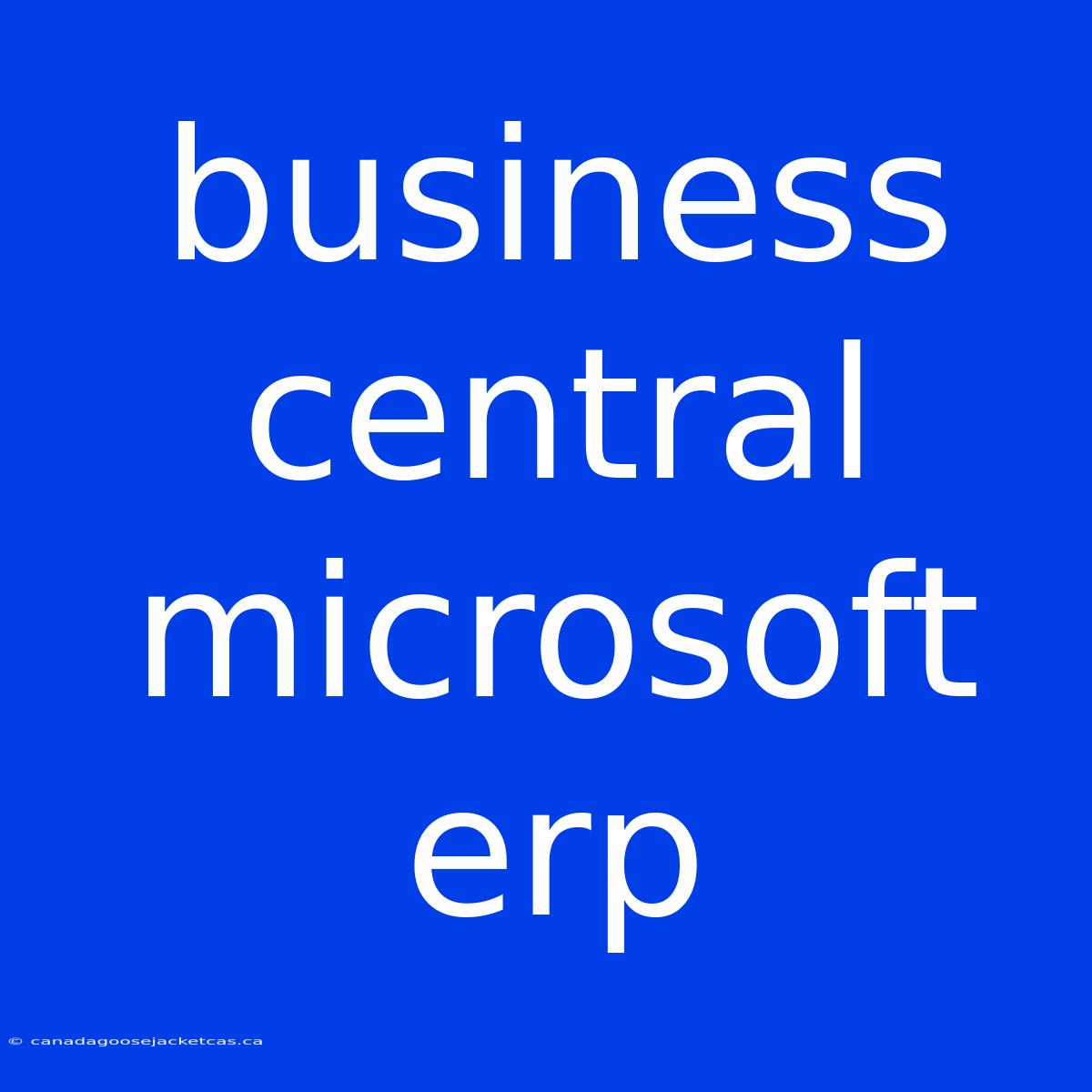 Business Central Microsoft Erp