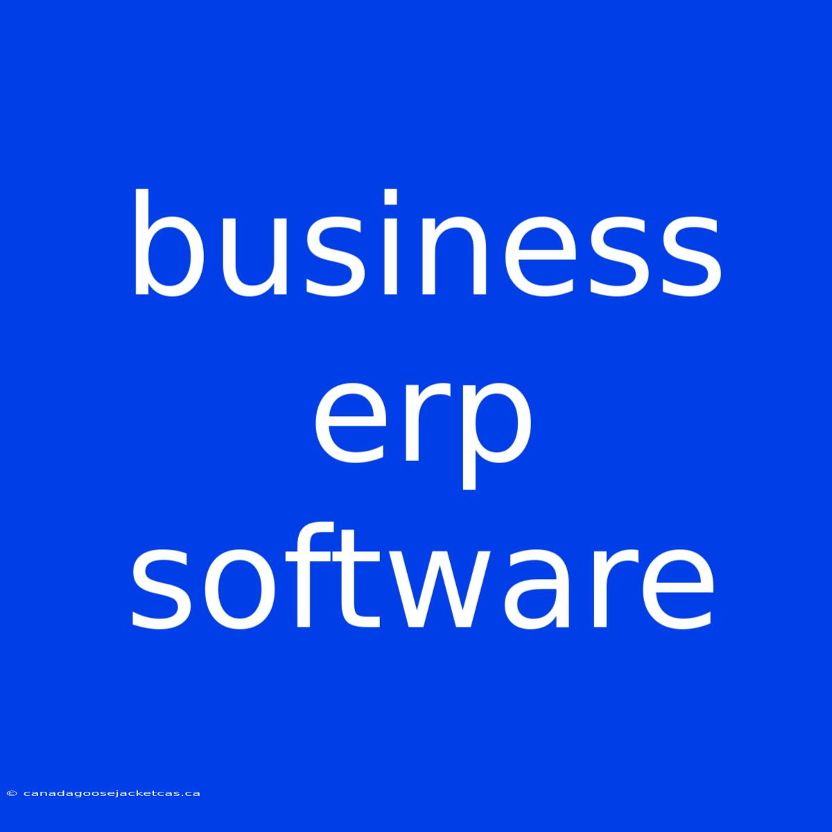 Business Erp Software