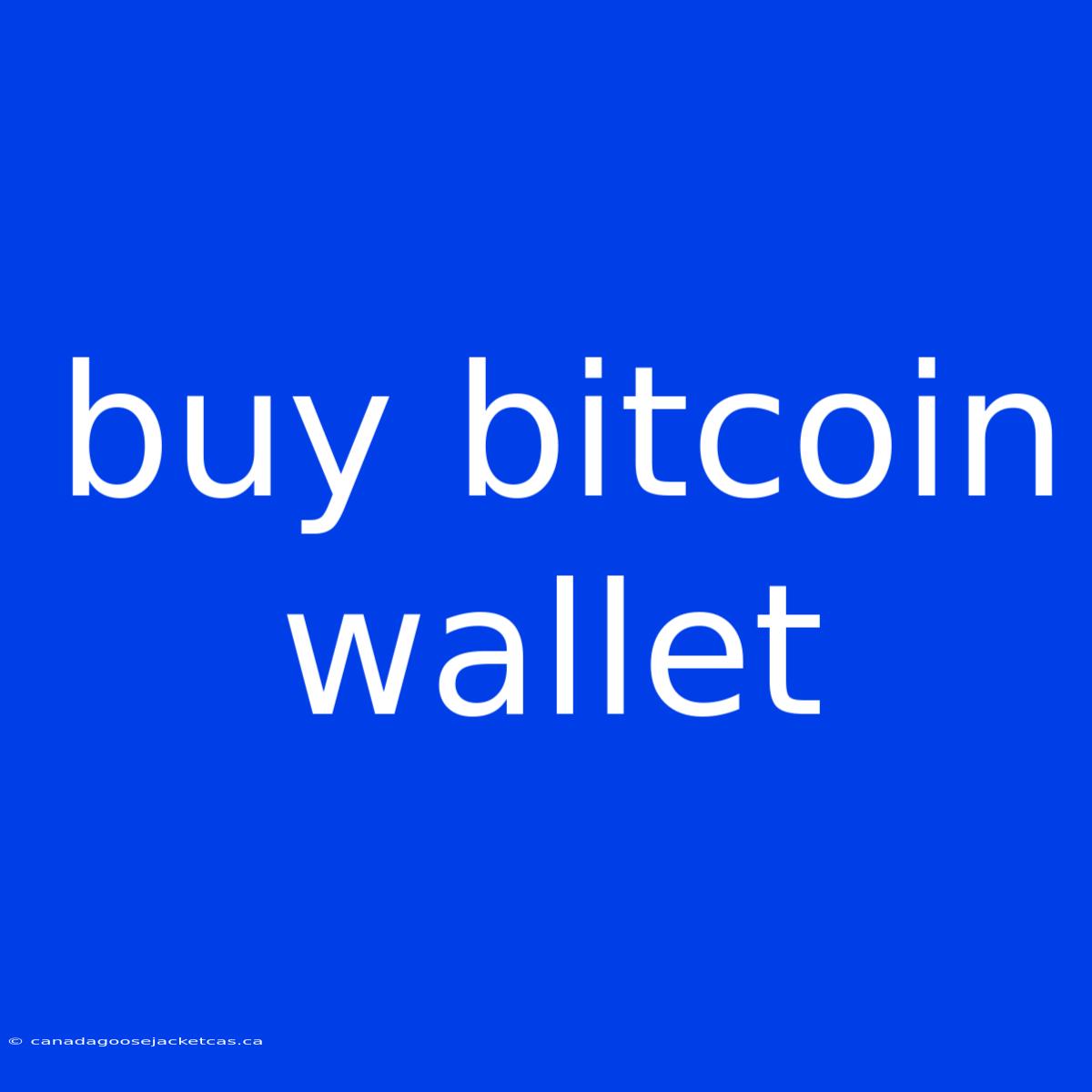 Buy Bitcoin Wallet