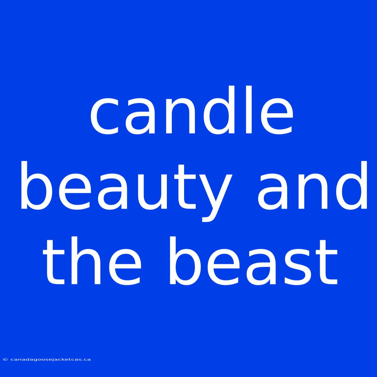 Candle Beauty And The Beast