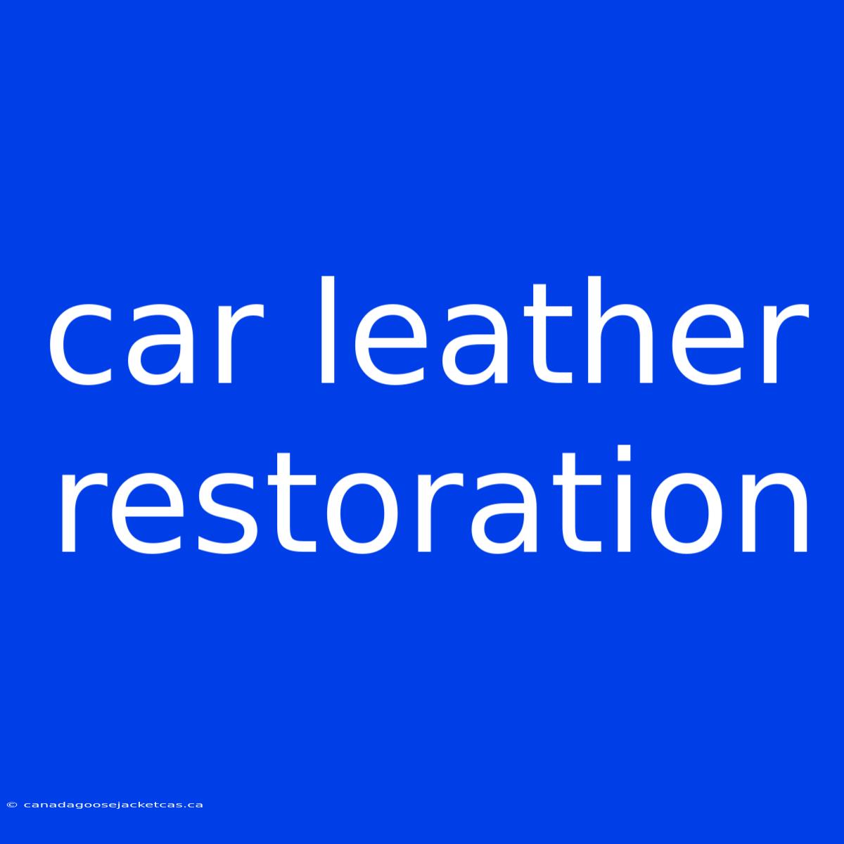 Car Leather Restoration