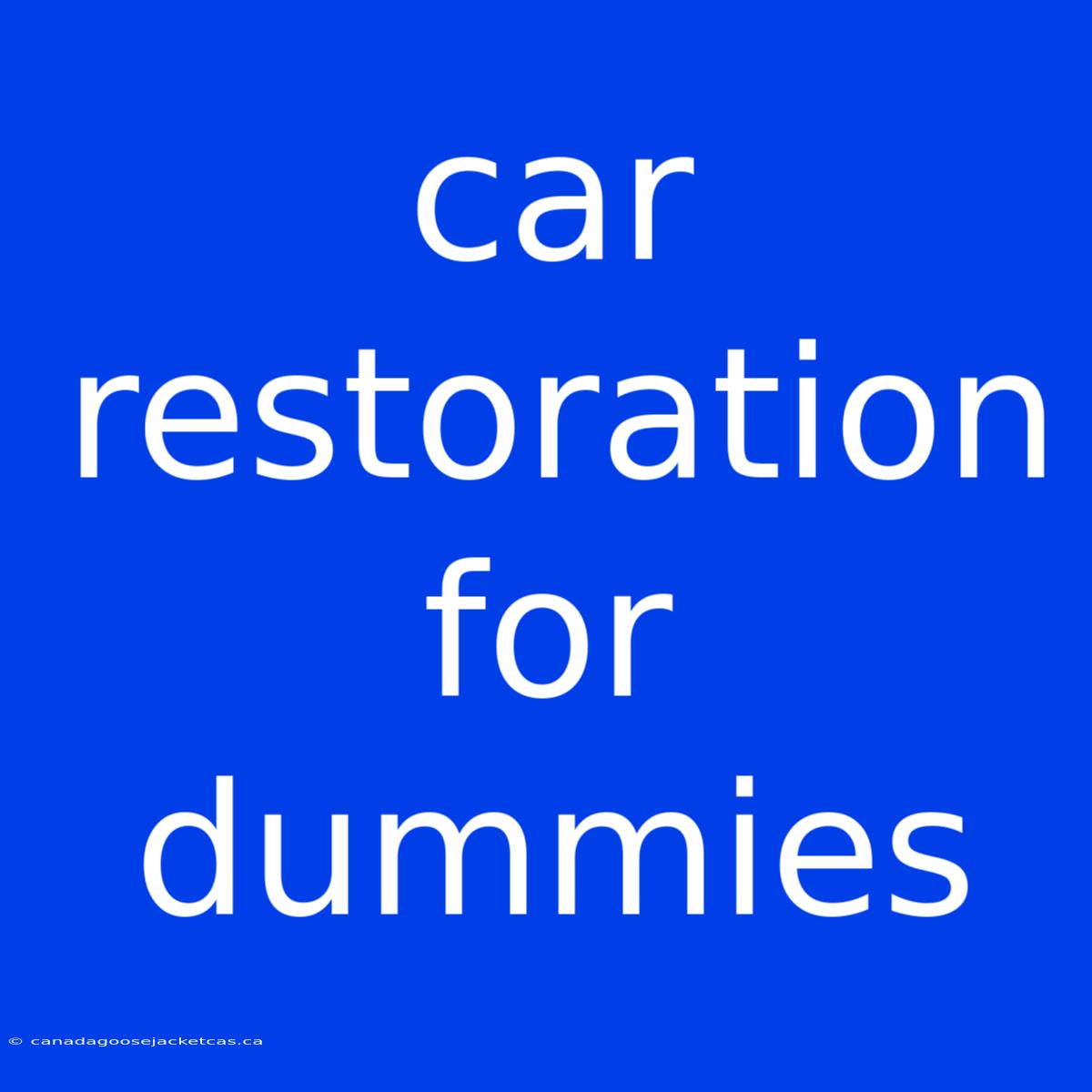 Car Restoration For Dummies