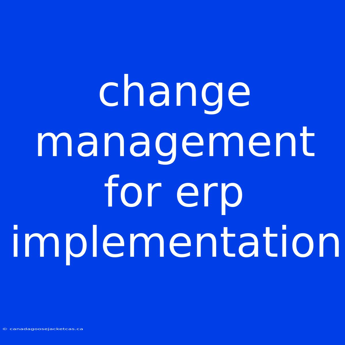 Change Management For Erp Implementation