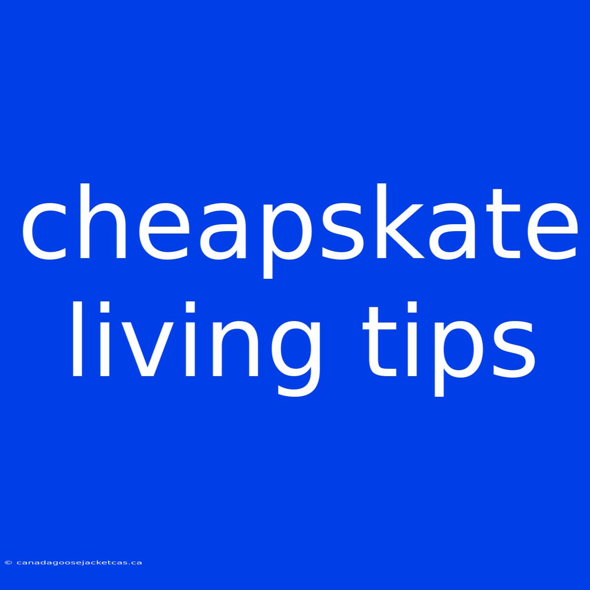 Cheapskate Living Tips