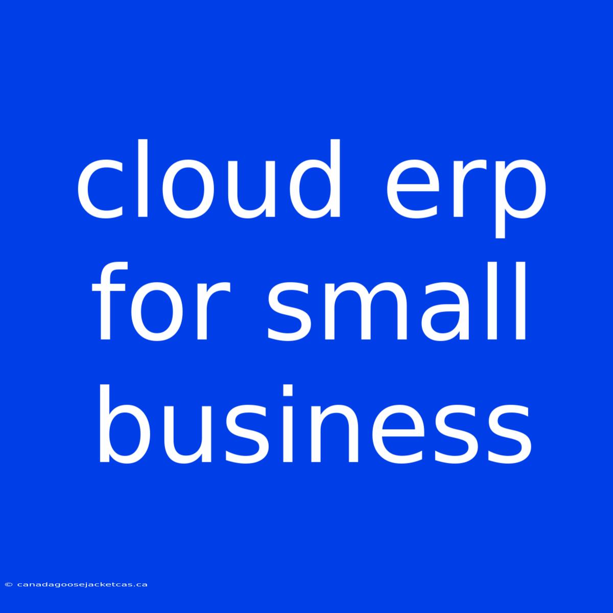 Cloud Erp For Small Business