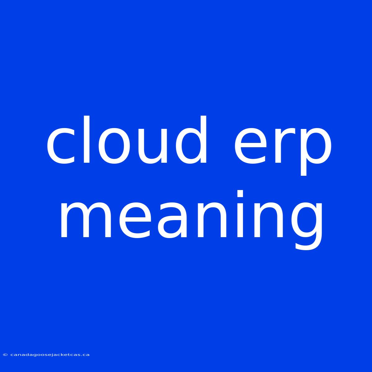 Cloud Erp Meaning