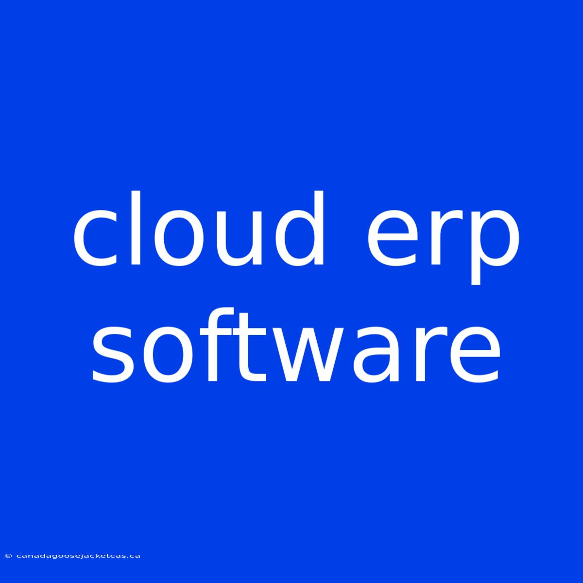 Cloud Erp Software