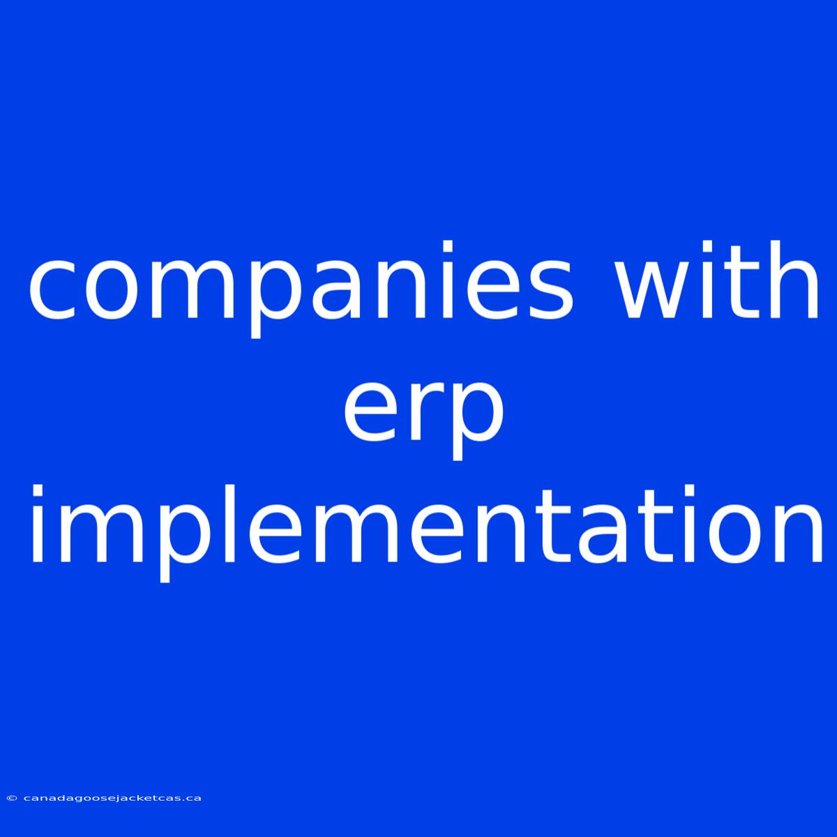 Companies With Erp Implementation