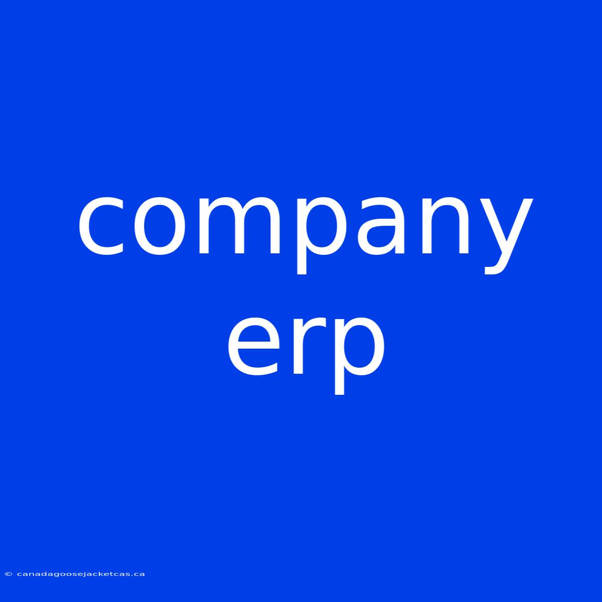 Company Erp