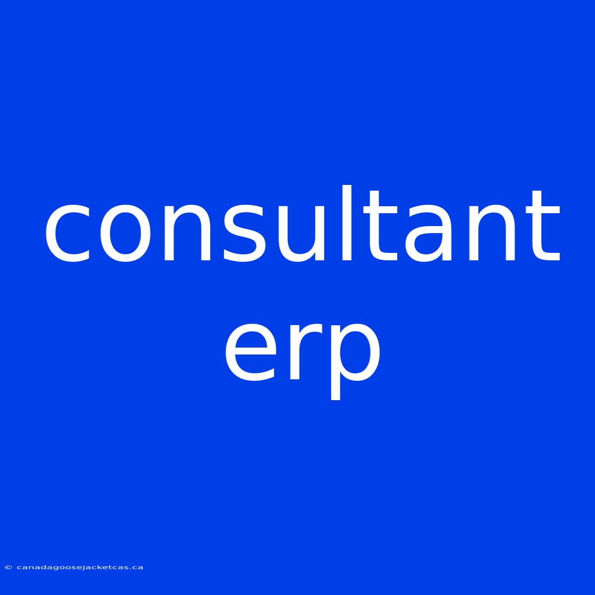 Consultant Erp