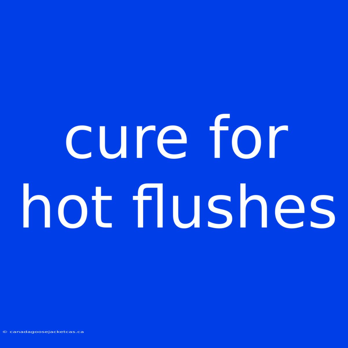 Cure For Hot Flushes