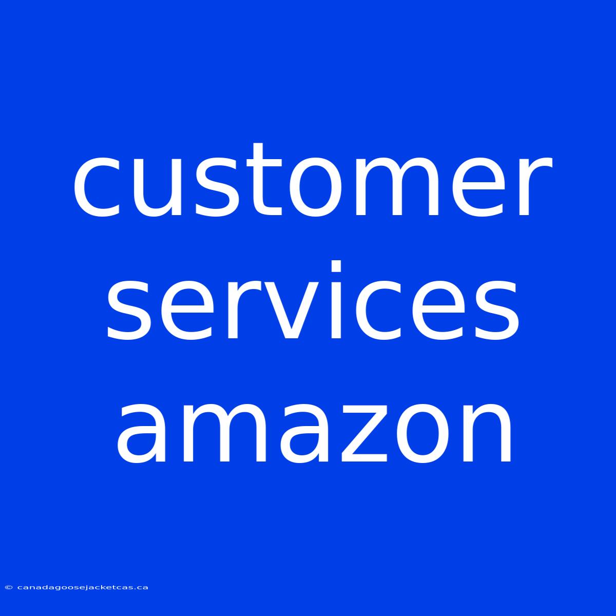 Customer Services Amazon