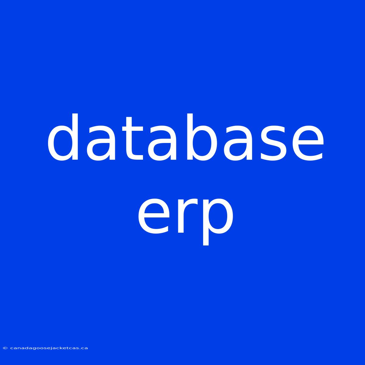 Database Erp