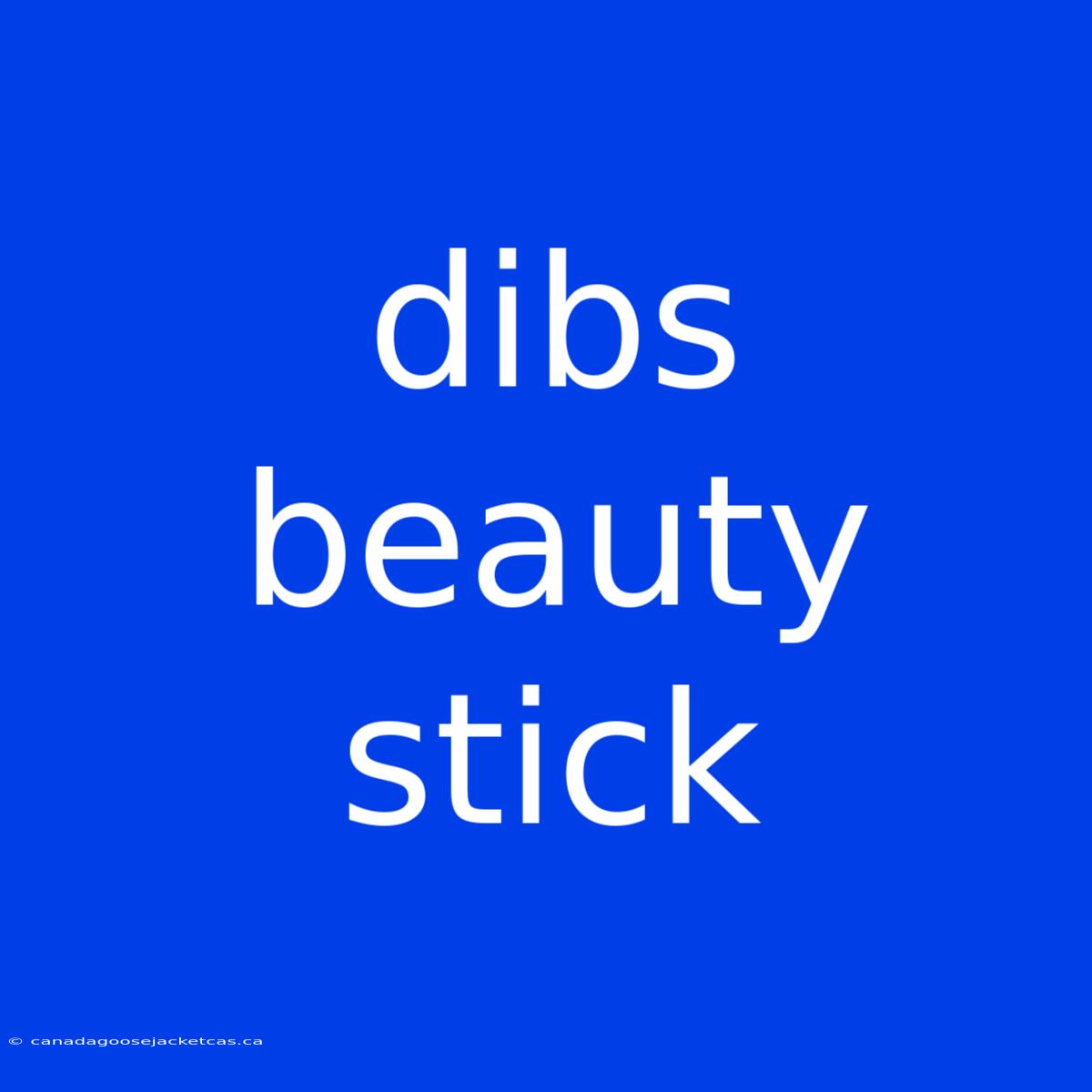 Dibs Beauty Stick