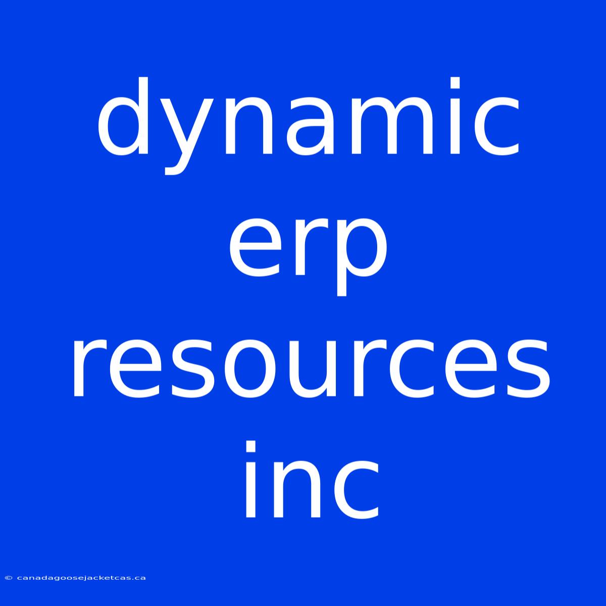 Dynamic Erp Resources Inc