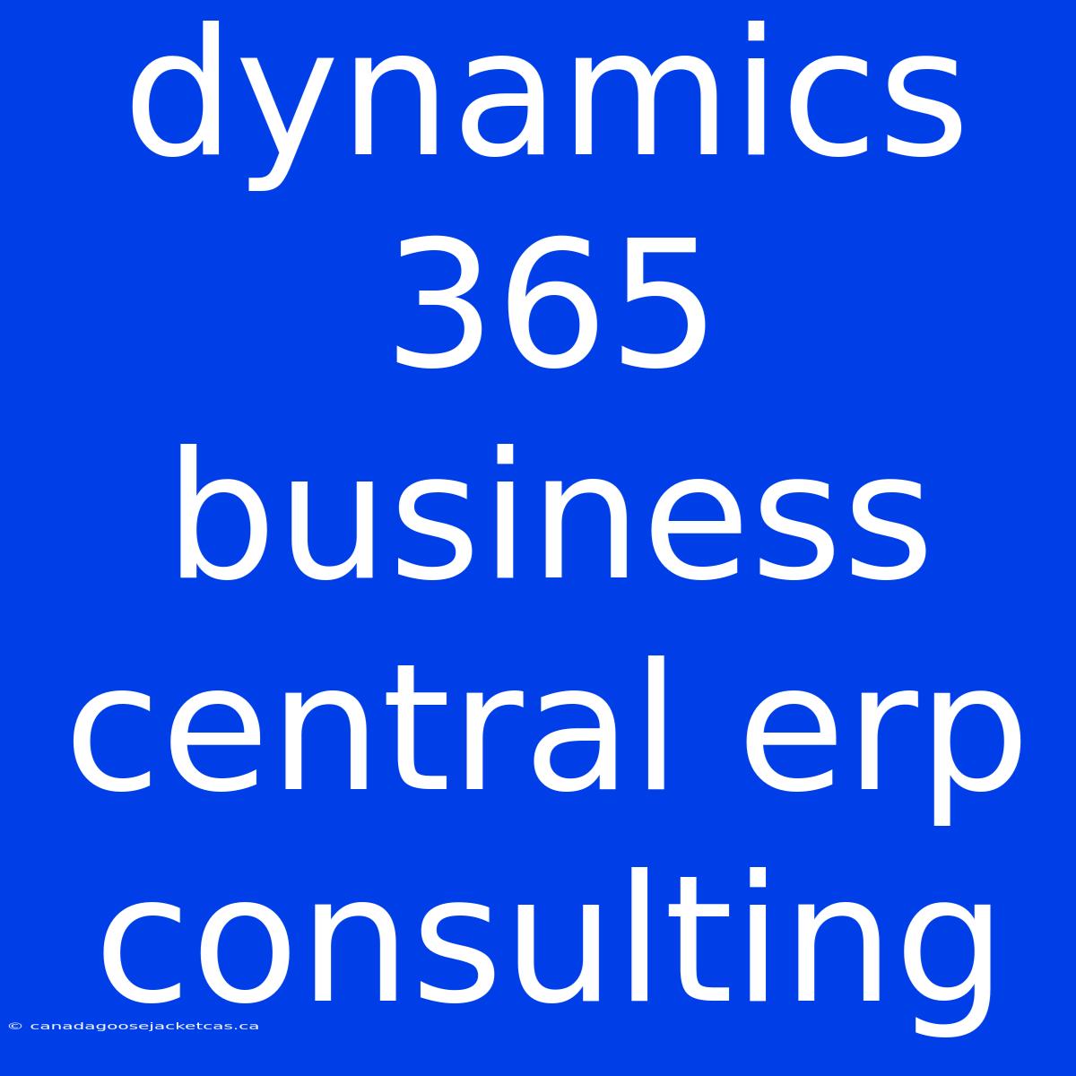 Dynamics 365 Business Central Erp Consulting