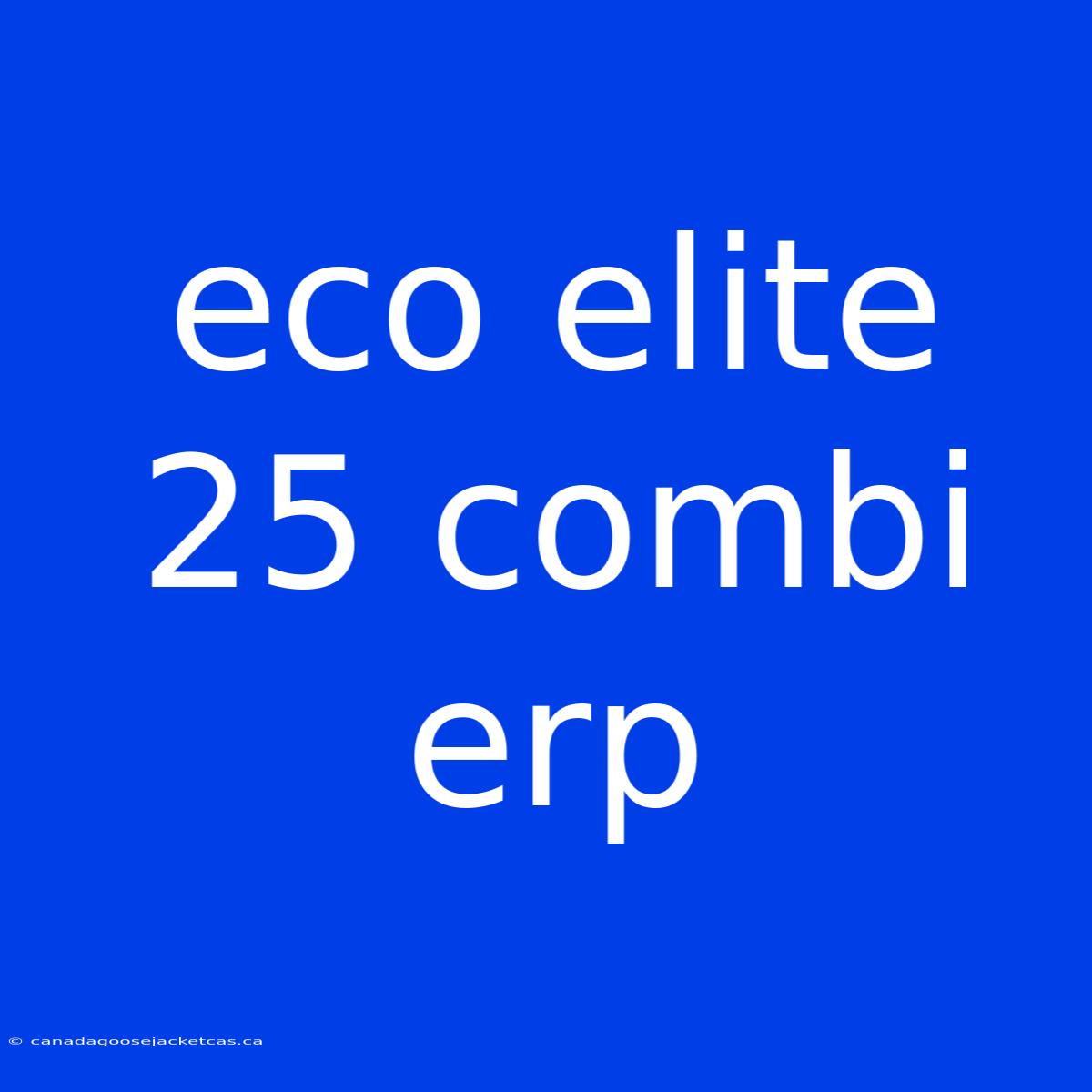 Eco Elite 25 Combi Erp