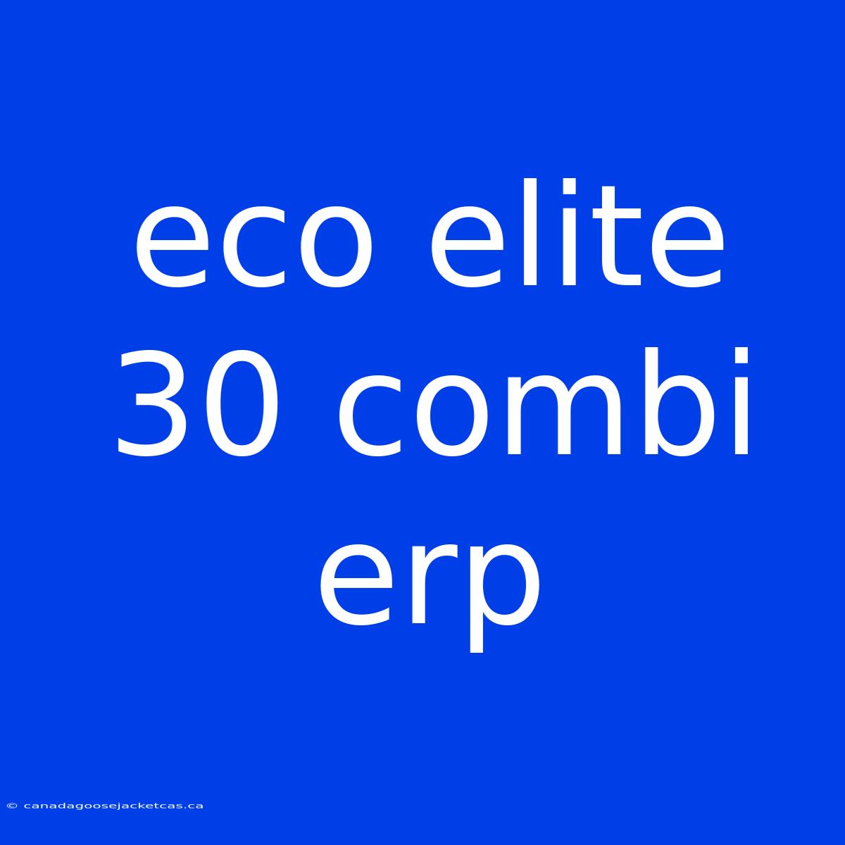 Eco Elite 30 Combi Erp