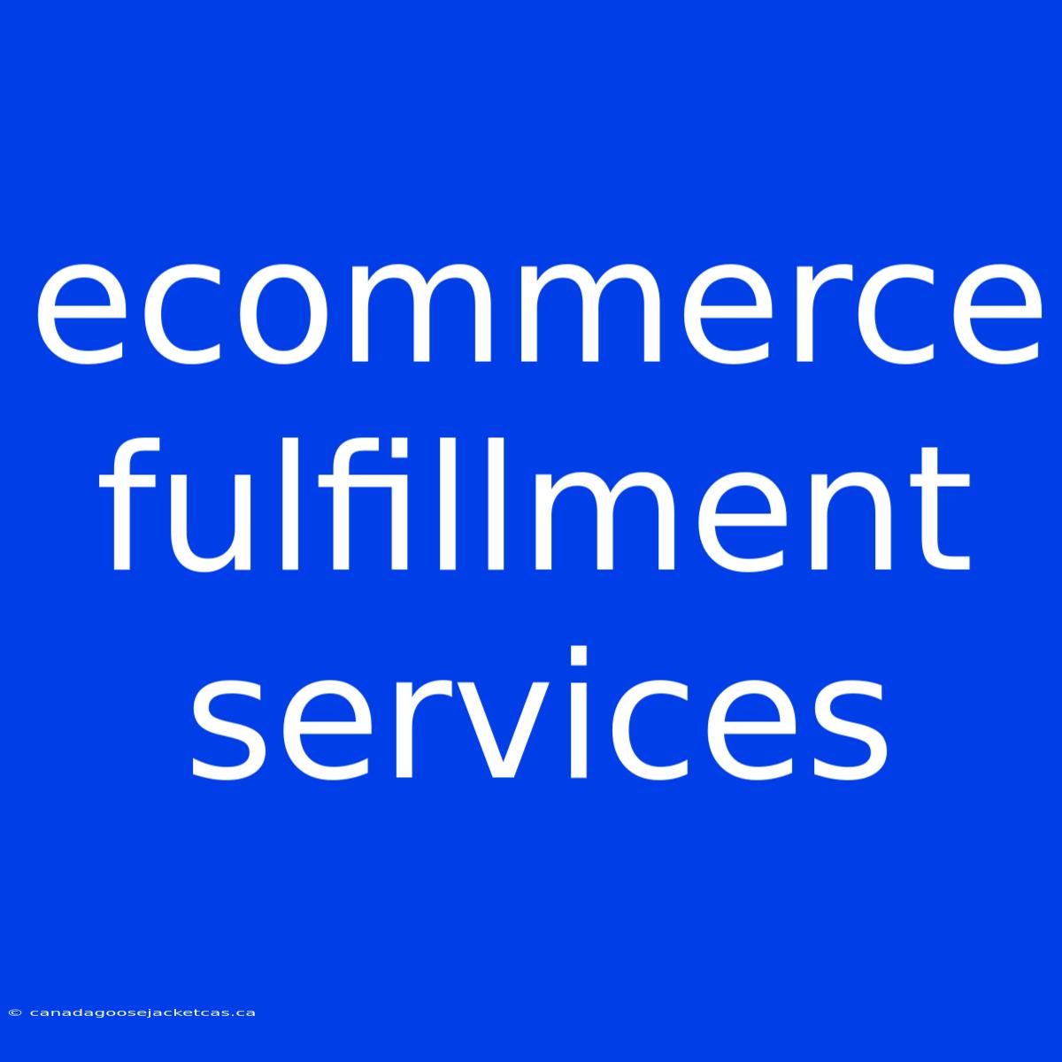 Ecommerce Fulfillment Services