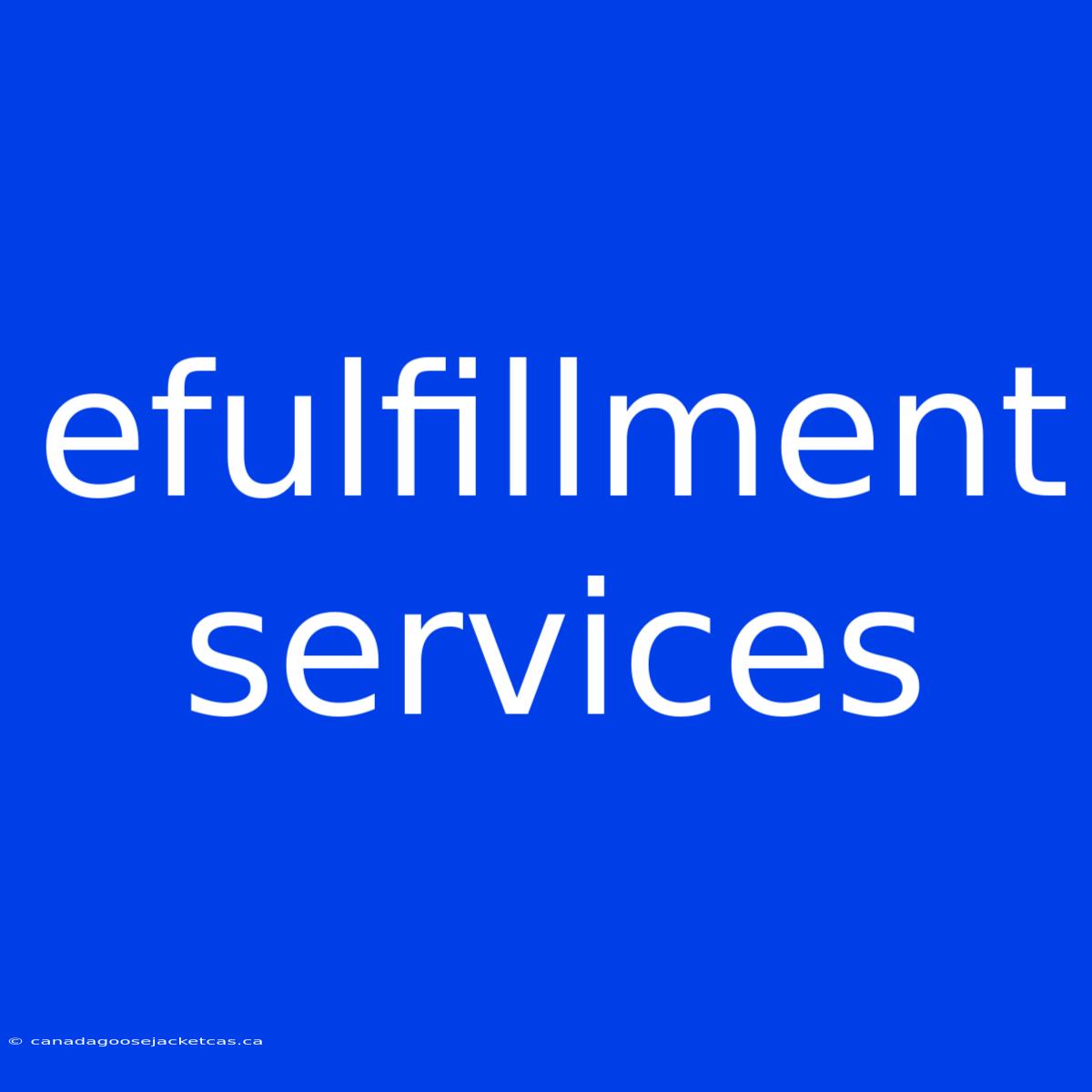 Efulfillment Services