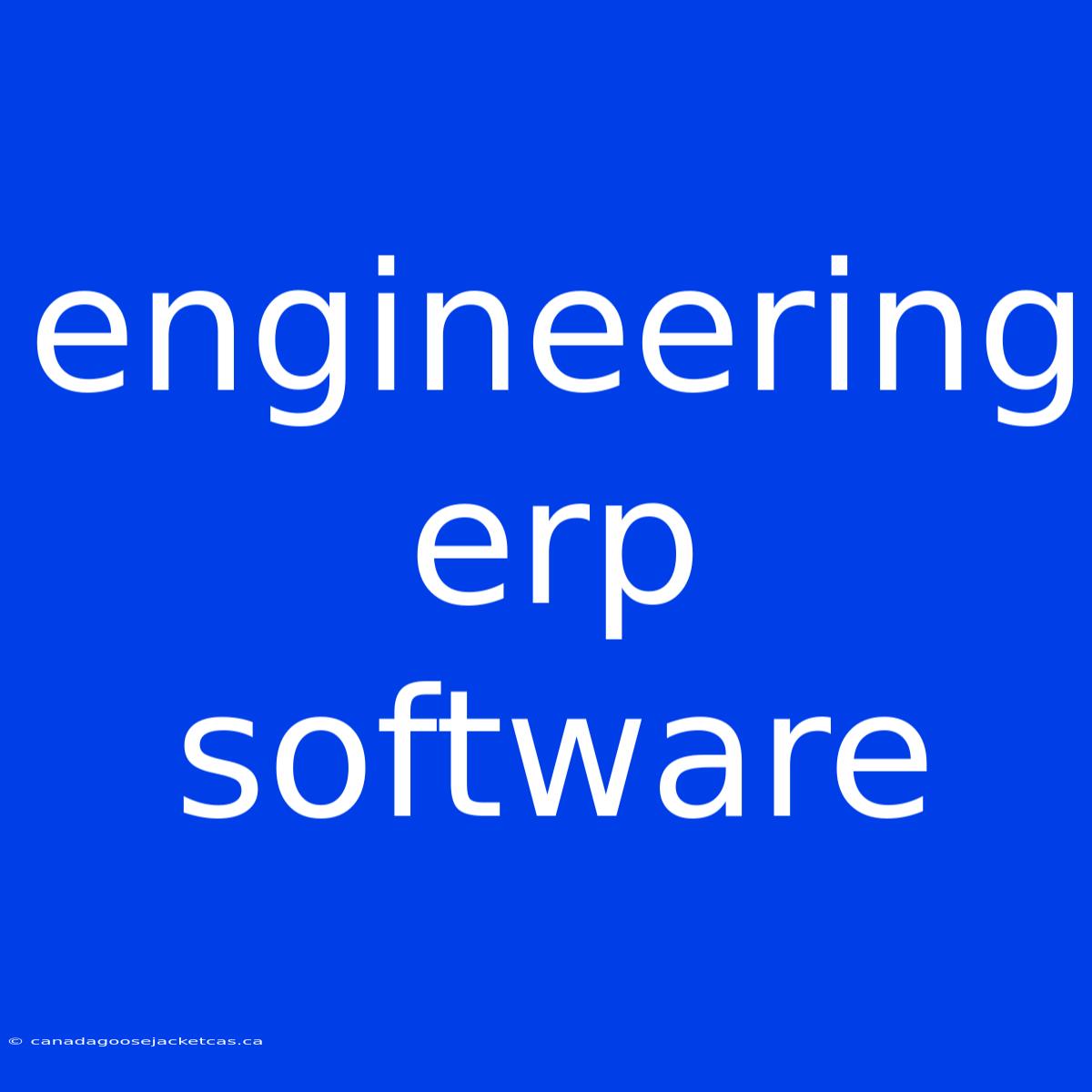 Engineering Erp Software