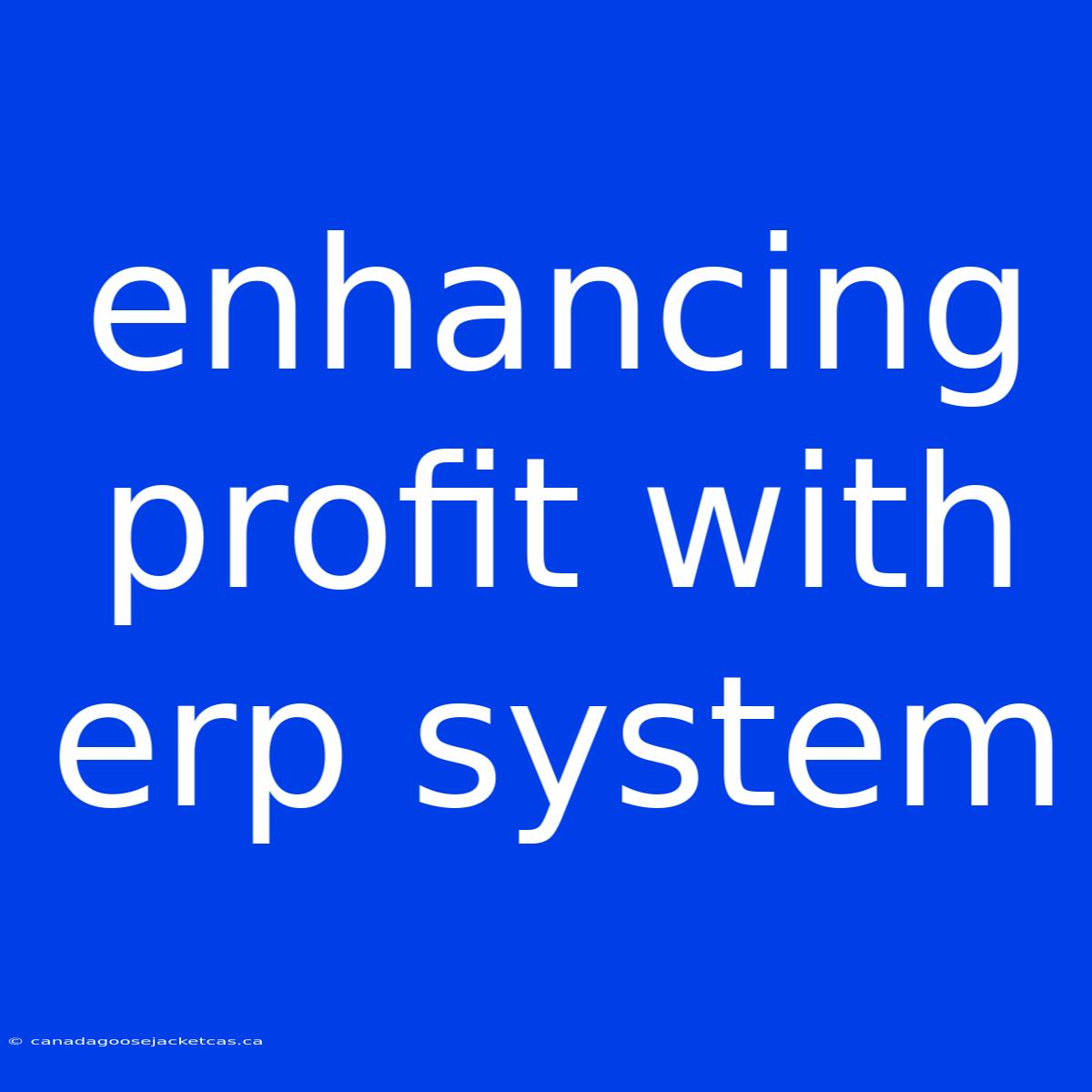 Enhancing Profit With Erp System