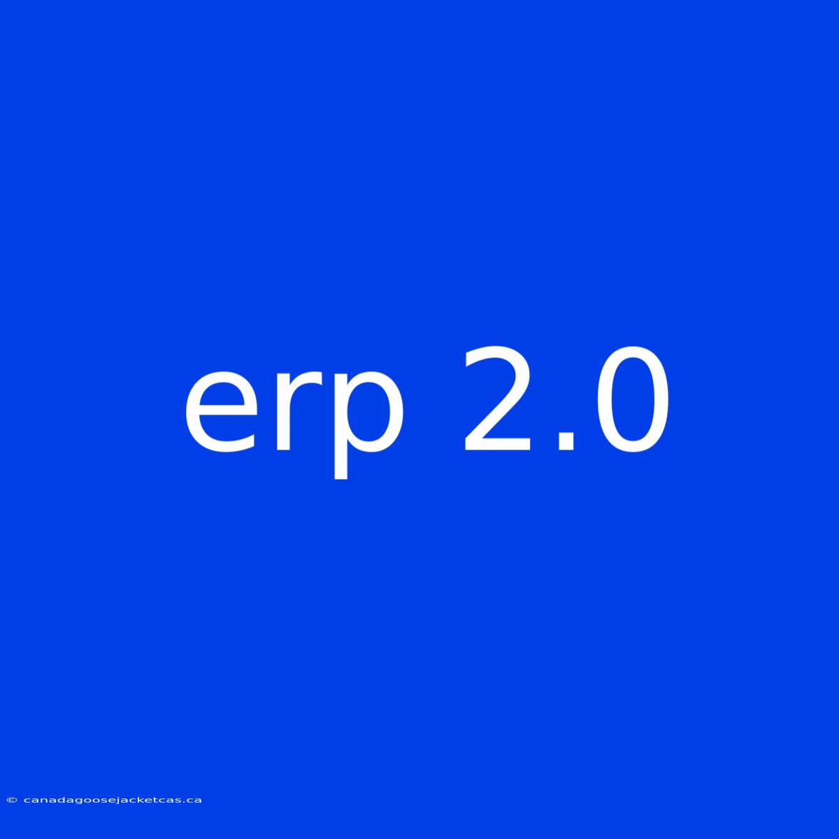 Erp 2.0