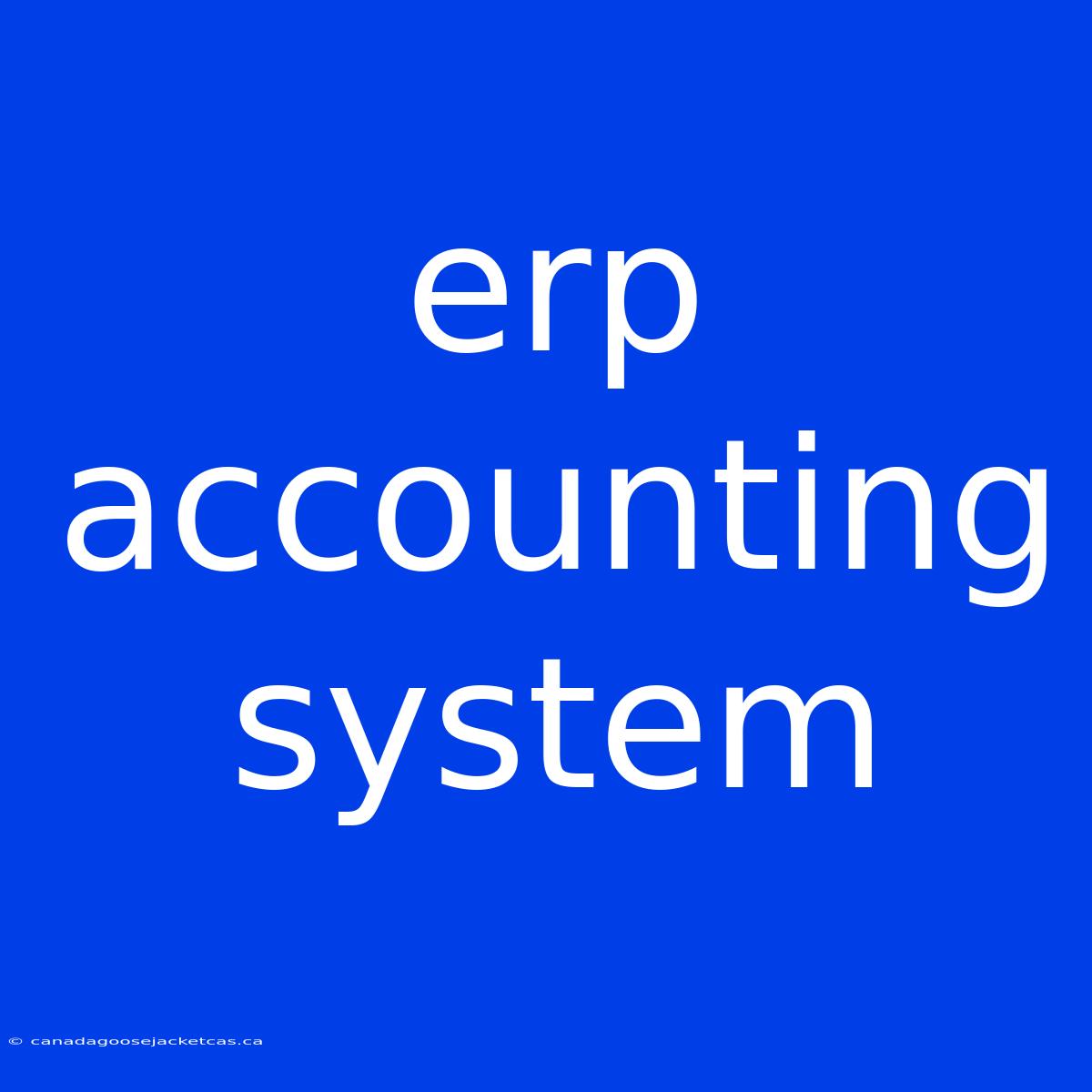 Erp Accounting System