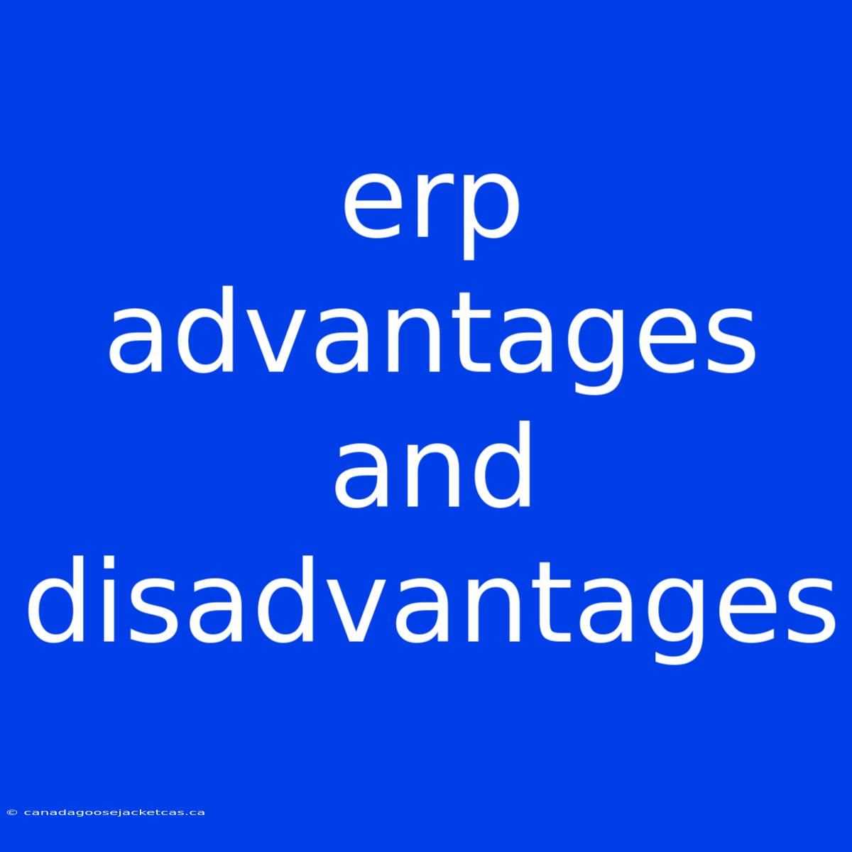 Erp Advantages And Disadvantages