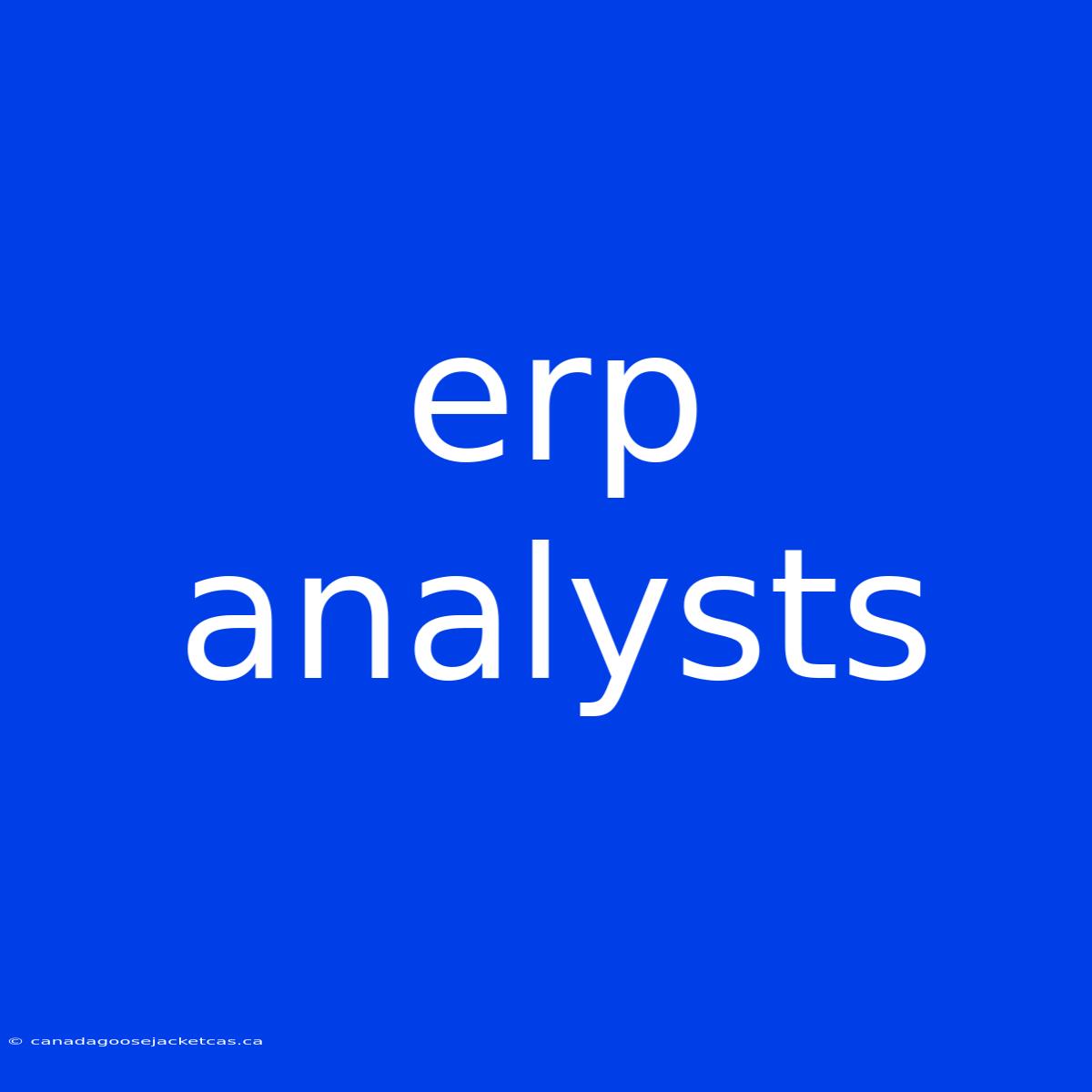 Erp Analysts