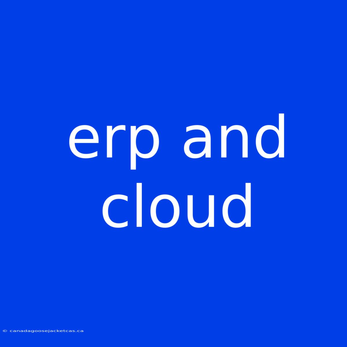 Erp And Cloud