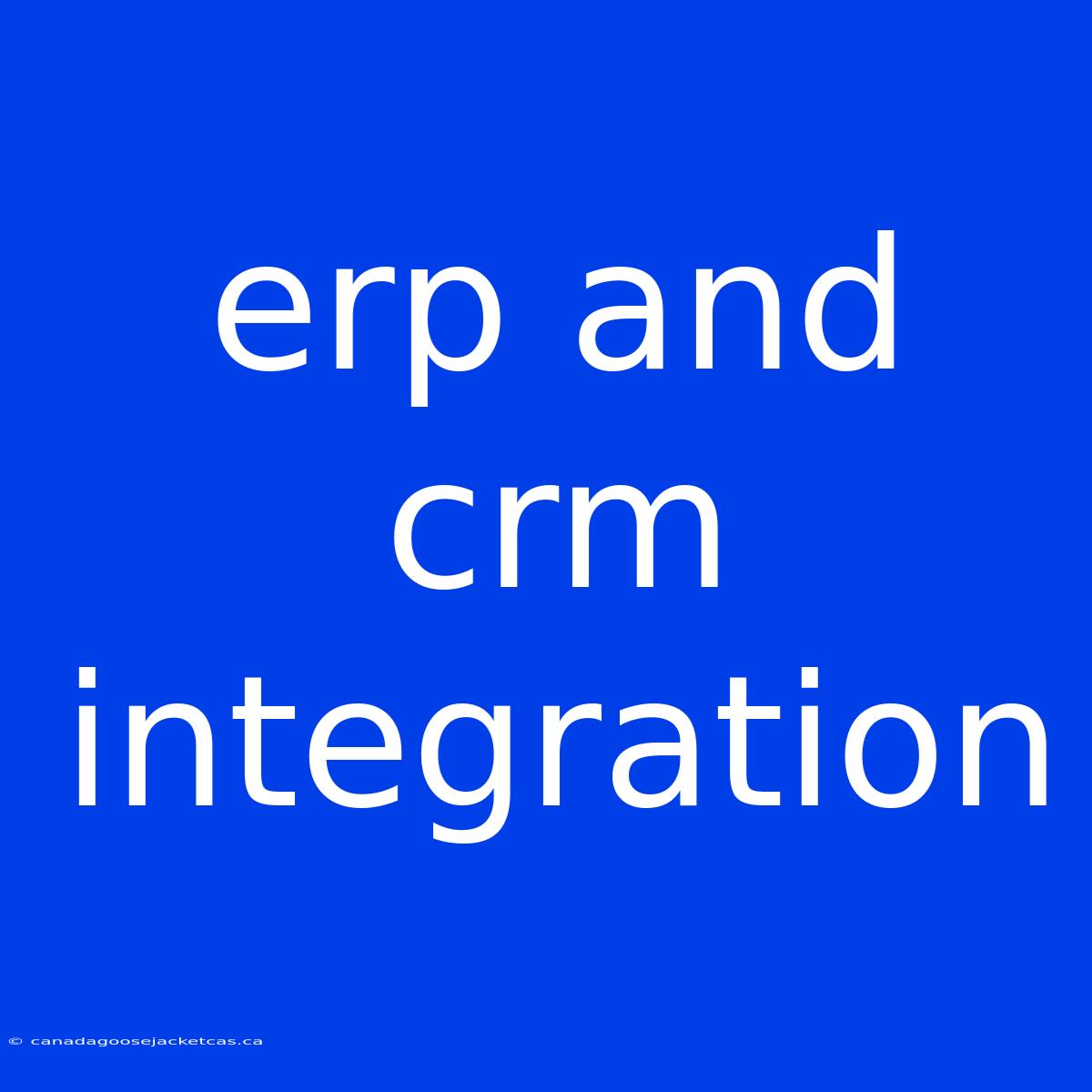 Erp And Crm Integration