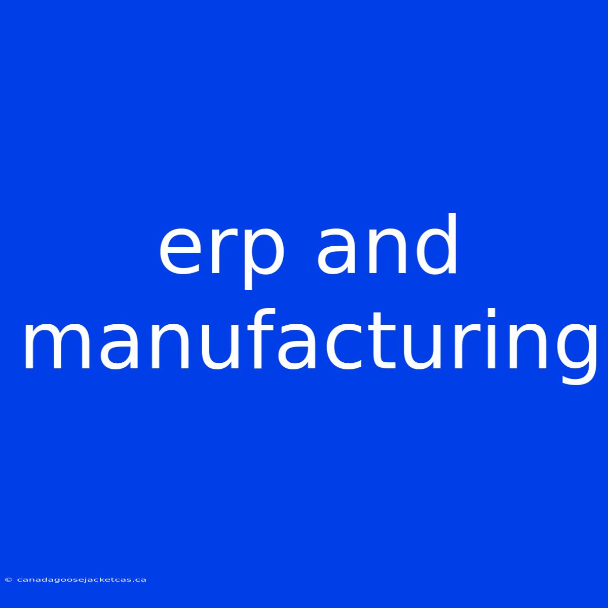 Erp And Manufacturing