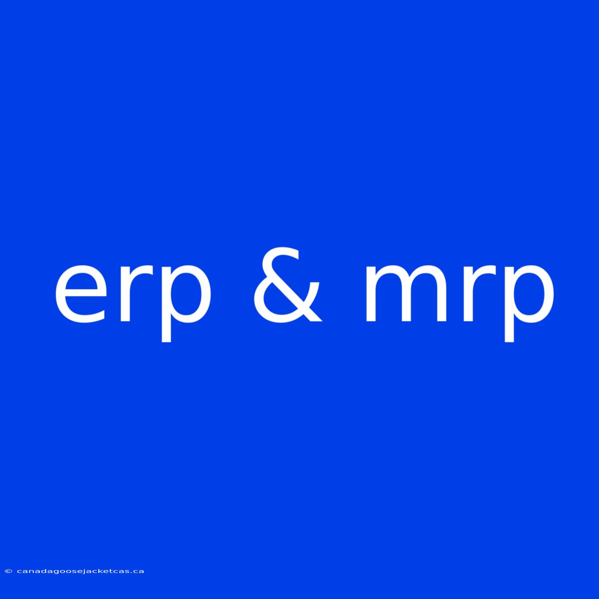 Erp & Mrp