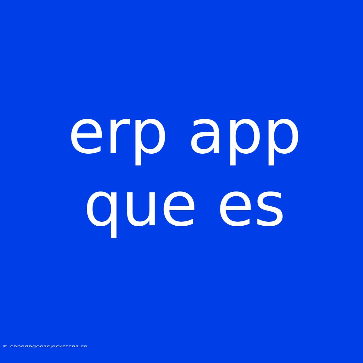 Erp App Que Es