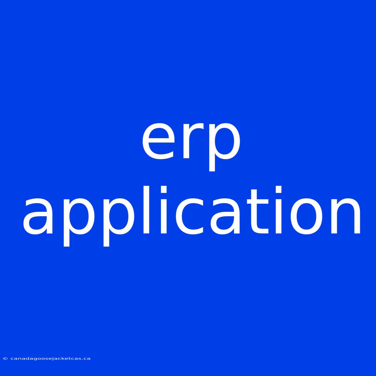 Erp Application