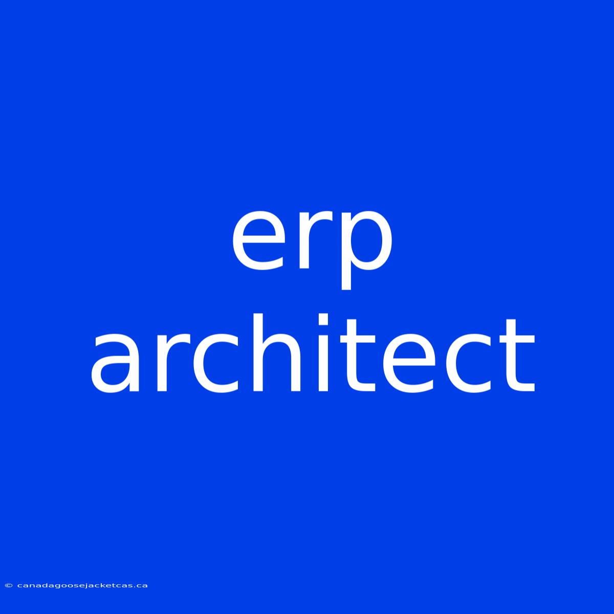 Erp Architect