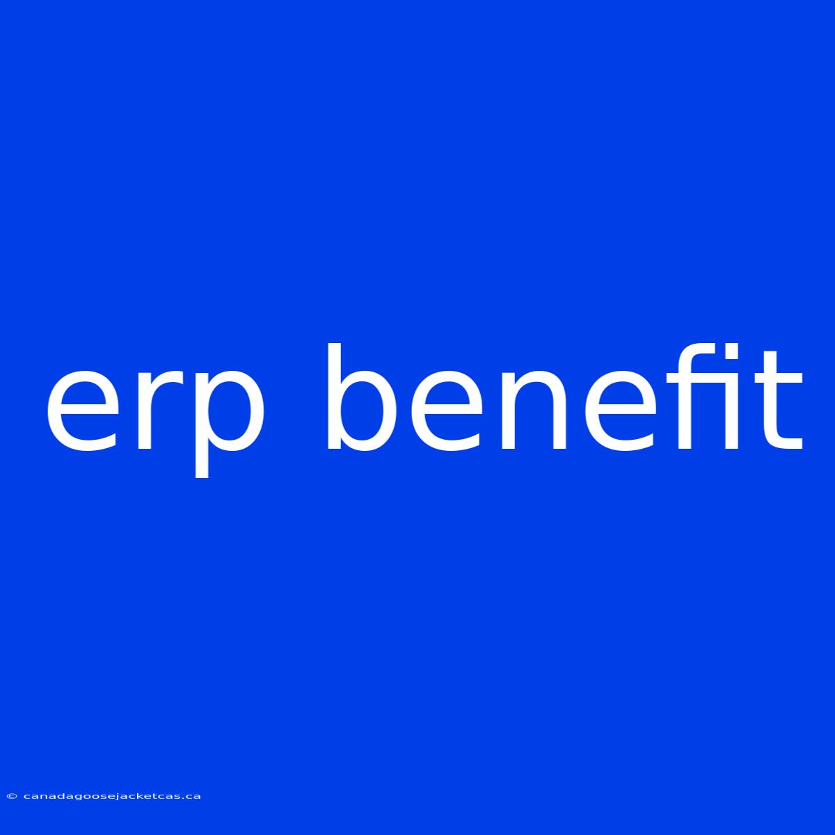 Erp Benefit