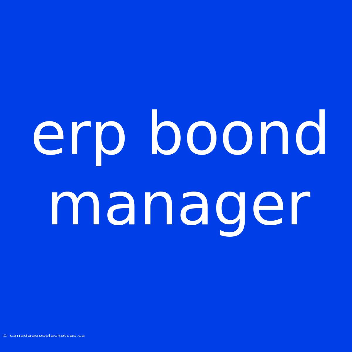 Erp Boond Manager