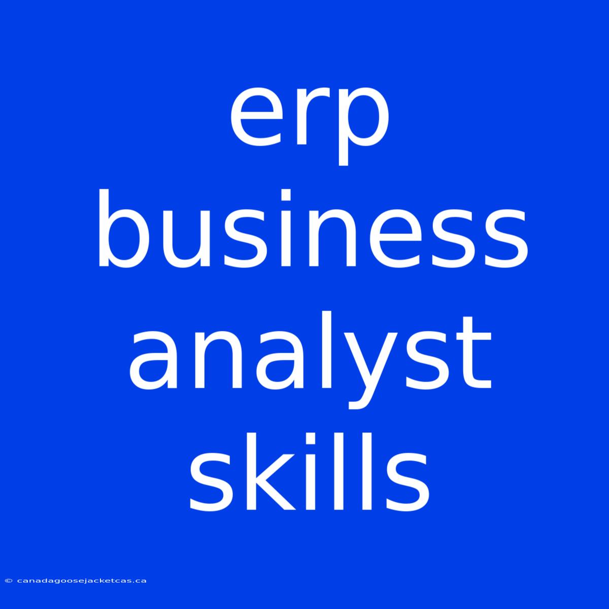 Erp Business Analyst Skills