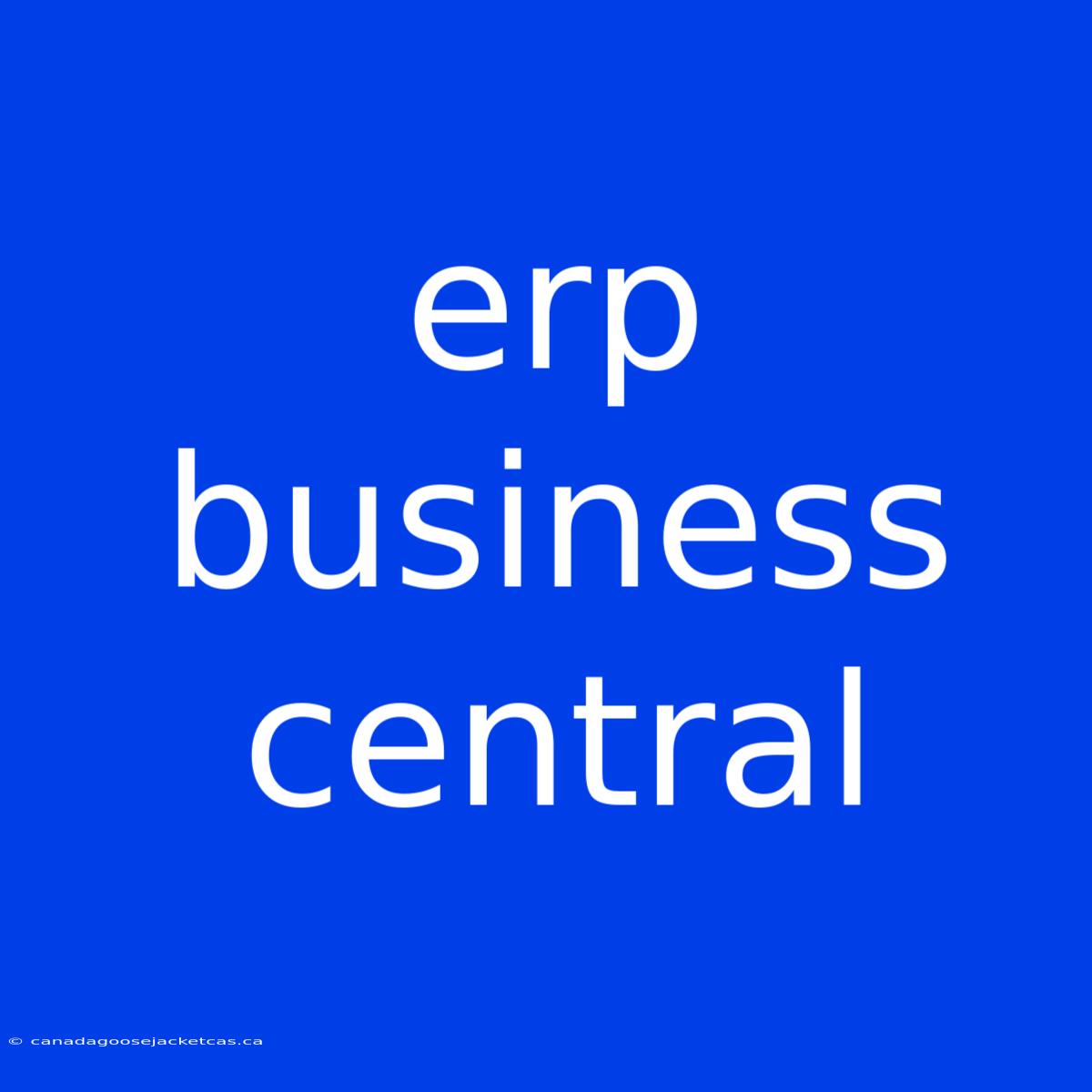 Erp Business Central