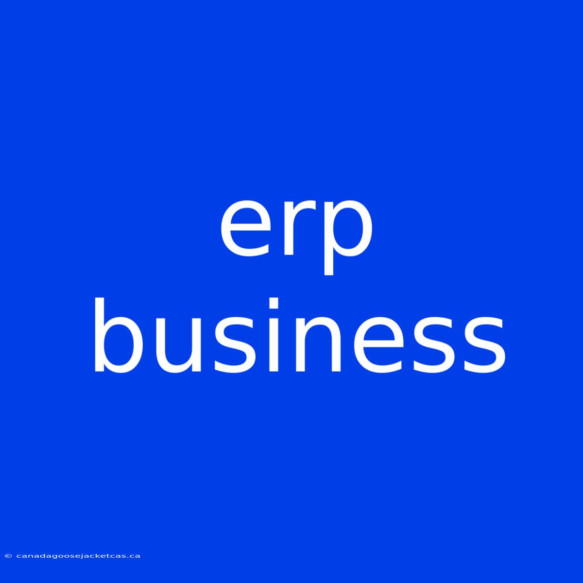 Erp Business