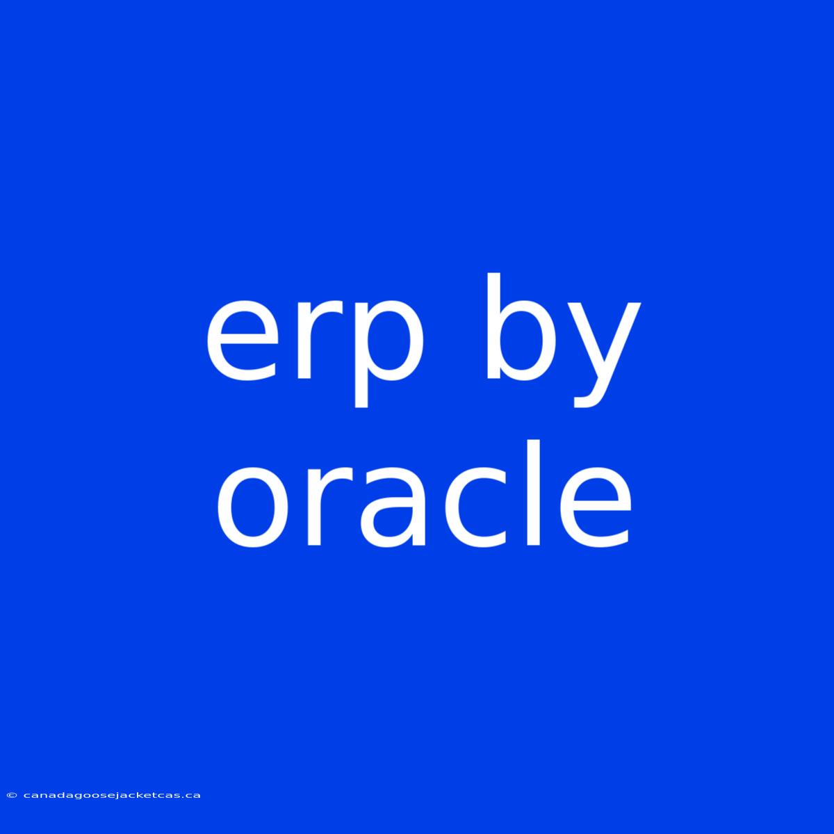 Erp By Oracle