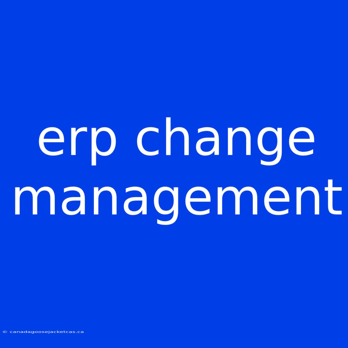 Erp Change Management